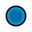 🔵