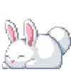🐇