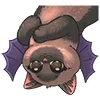 🦇