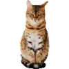 🐈