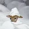 ☃️