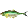 🐠
