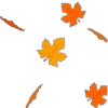 🍁