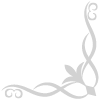 🩶