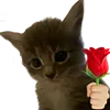 🌹