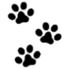🖤