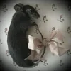 🐀