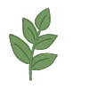 🍃