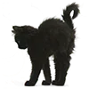 🐱