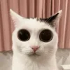 🥺