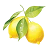 🍋