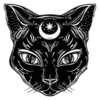 🐈‍⬛