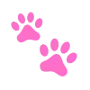 🐾