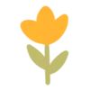 🌻