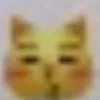 😽