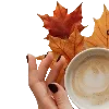 ☕️