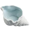 🐚