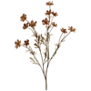 🎞️