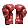 🥊