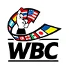 🥊