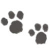 🐾