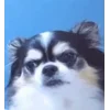 🤨