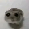 💟