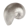 🐚