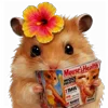 🐭
