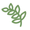 🍃