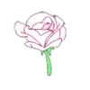 🌹