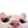 🙂