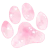 🐾