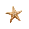 ⭐