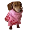 🐶