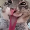 😛