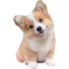 🐕