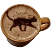 ☕️