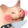 🔪