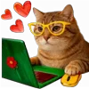👩‍💻