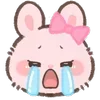 🐰