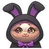 🐰