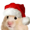 🎅
