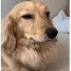 🤩
