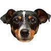 🐕‍🦺