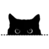 🐈‍⬛