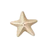 ⭐