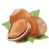 🌰