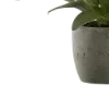 🌿
