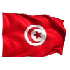 🇹🇳